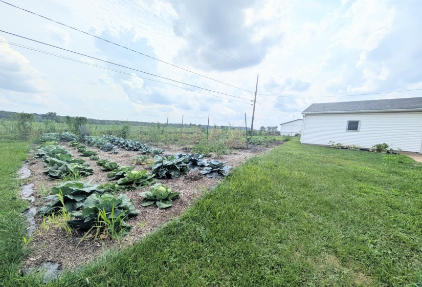 garden