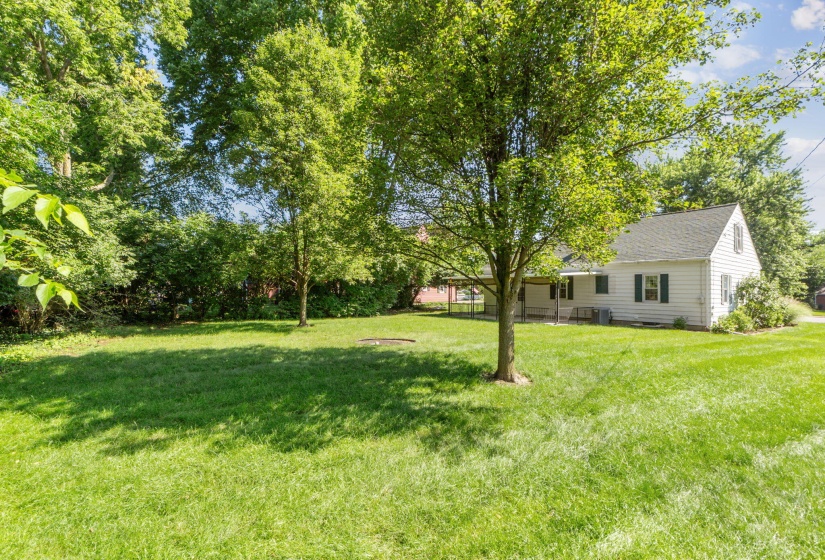 20-web-or-mls-DSC07909