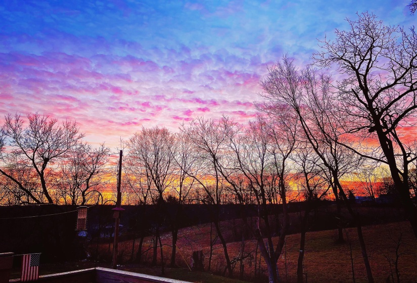 221 sky