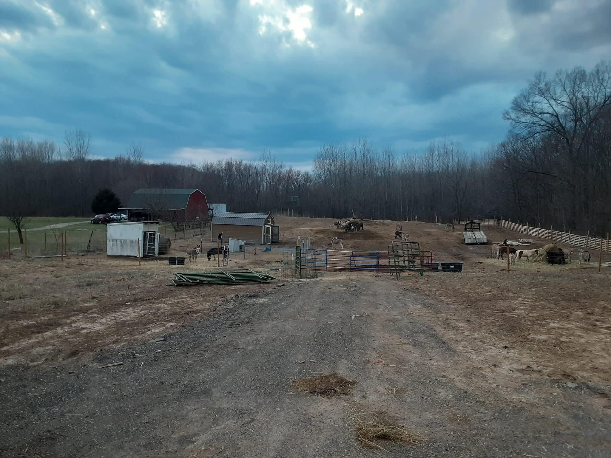 2897 Township Hwy 247, De Graff, Ohio 43318