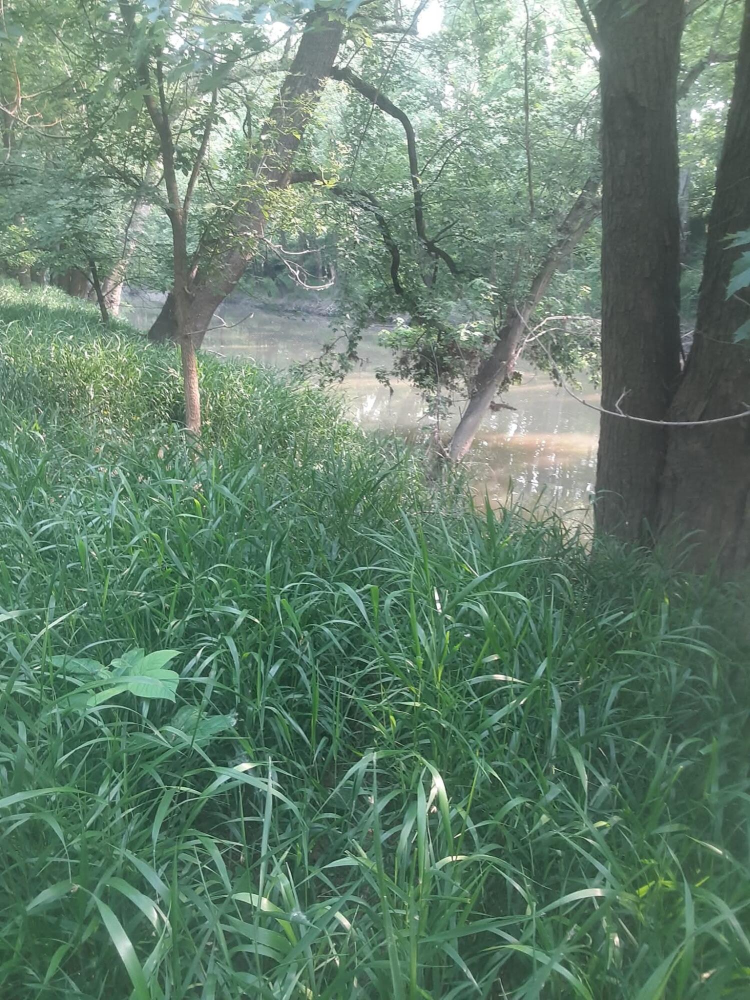 2897 Township Hwy 247, De Graff, Ohio 43318