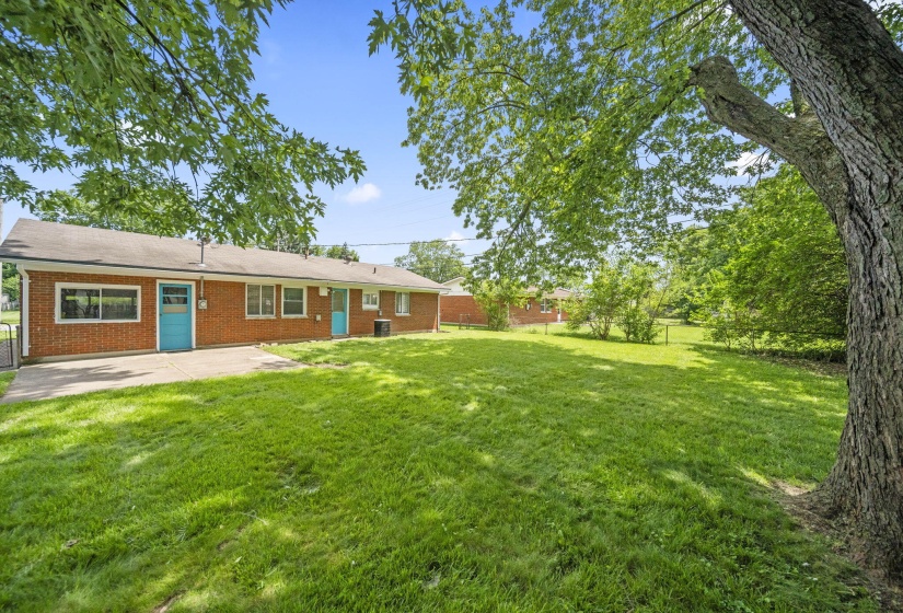 37-web-or-mls-A7408248