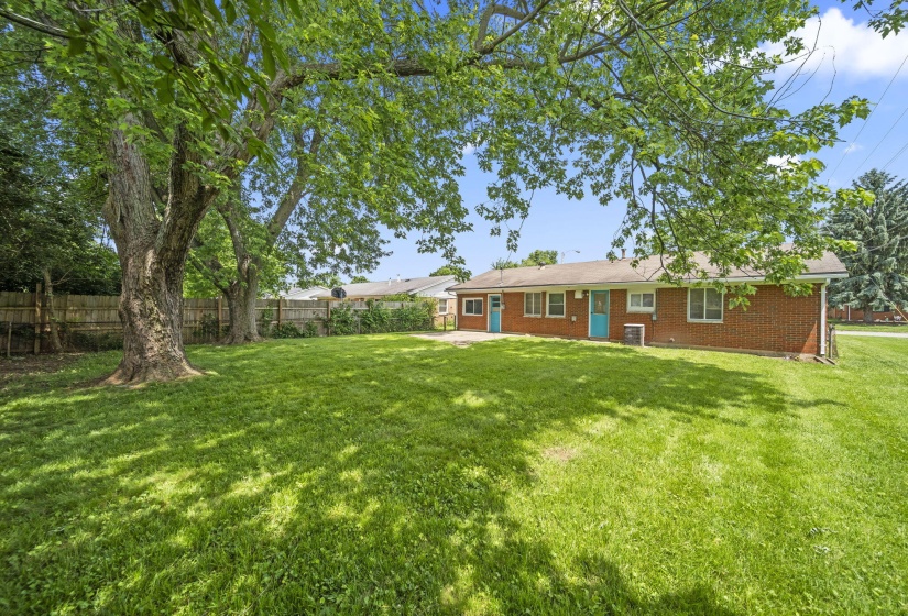36-web-or-mls-A7408246