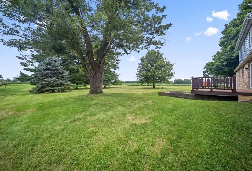 63-web-or-mls-DSC02076