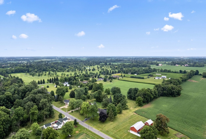 78-web-or-mls-DJI_0211