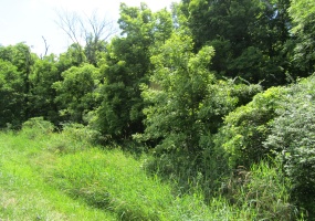 4574 Township rd 273, Bellefontaine, Ohio 43311, ,Land,For Sale,Township rd 273,1040155