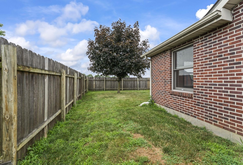 37-web-or-mls-DSC04471