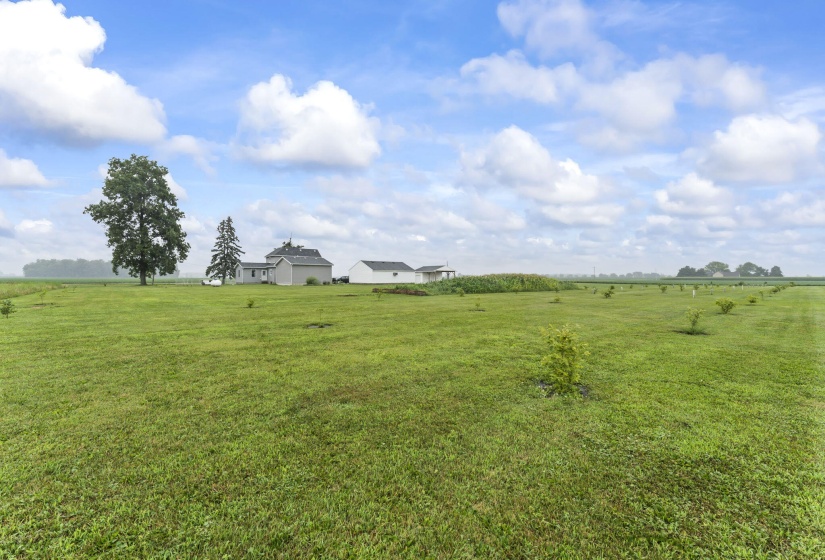 57-web-or-mls-DSC04816