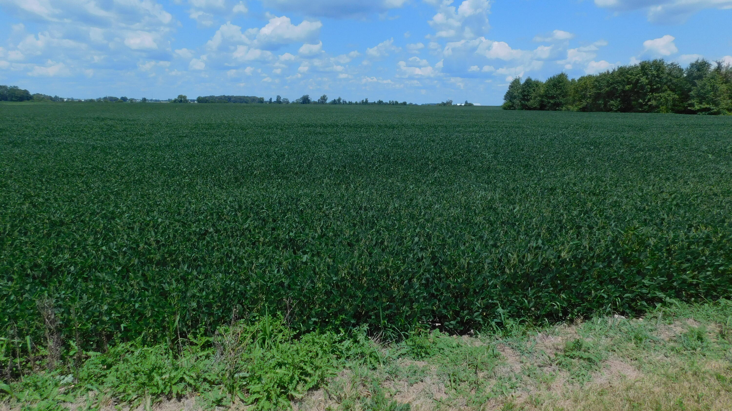 0 St Rt 722, Arcanum, Ohio 45304
