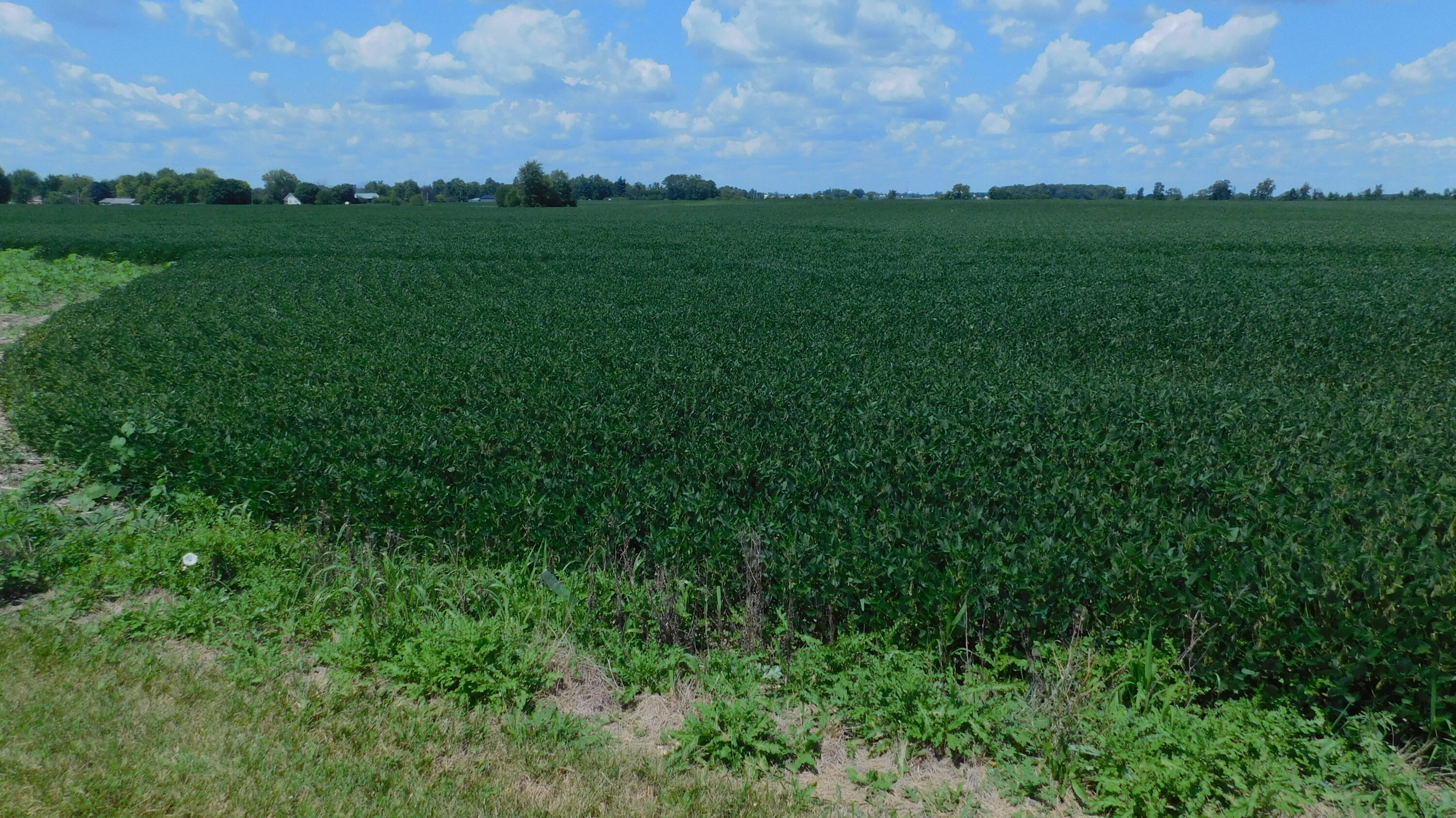 0 St Rt 722, Arcanum, Ohio 45304