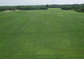 . County Road 49, Belle Center, Ohio 43310, ,Land,For Sale,County Road 49,1040193