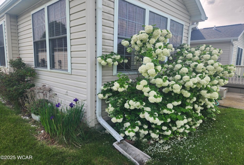 3529 Camden Place, Lima, Ohio, 2 Bedrooms Bedrooms, ,2 BathroomsBathrooms,Residential,For Sale,Camden,306966
