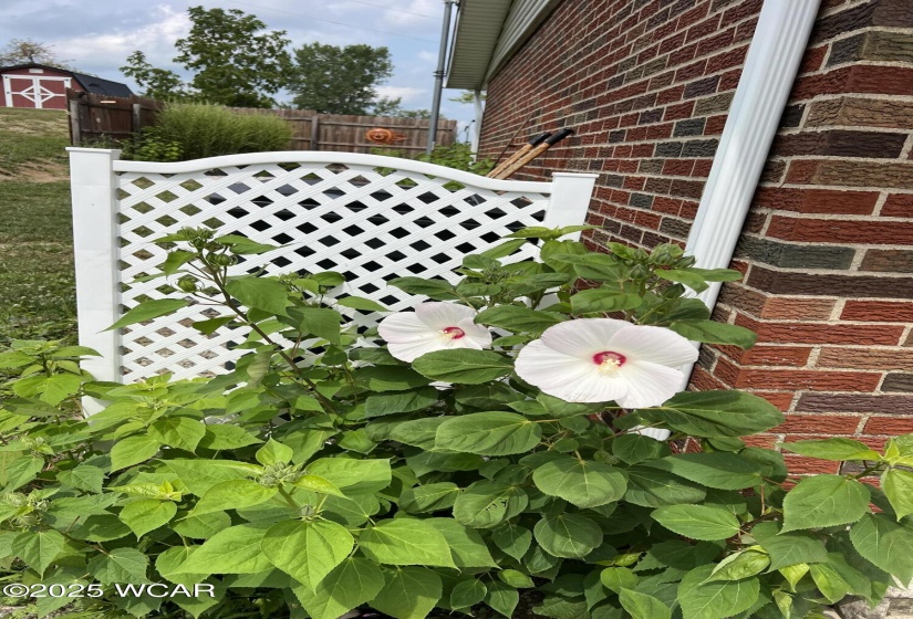 2855 State Route 67, Belle Center, Ohio, 3 Bedrooms Bedrooms, ,1 BathroomBathrooms,Residential,For Sale,State Route 67,307278