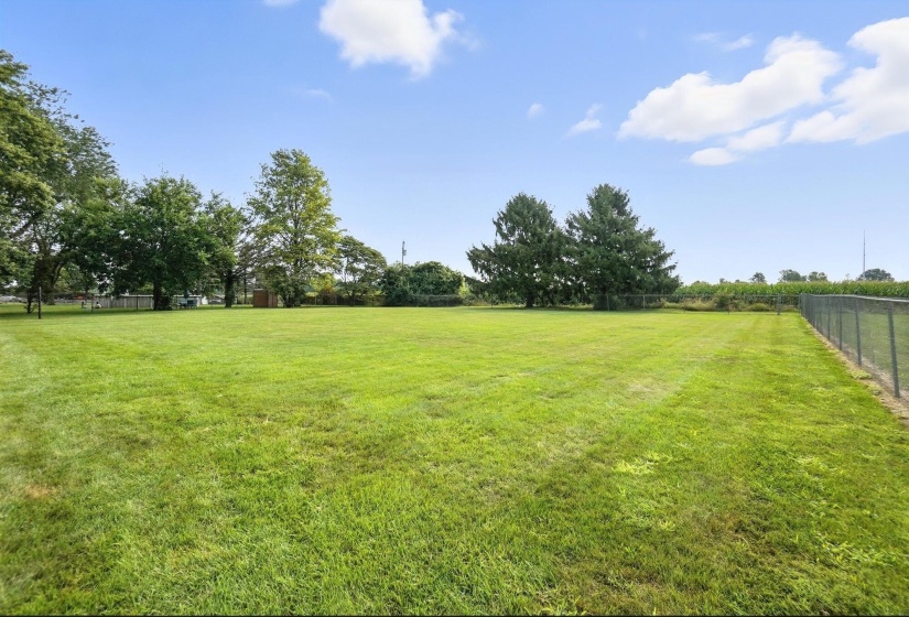 Fenced Backyard