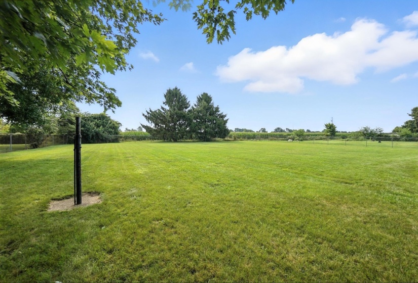 Fenced Backyard
