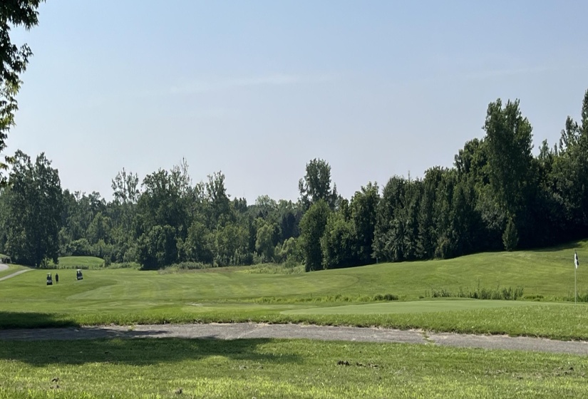 Wooded Acreage 1