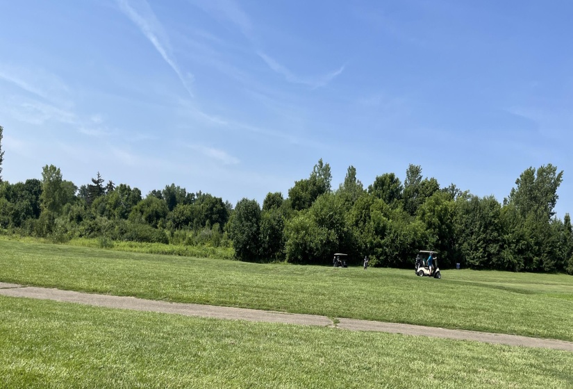 Wooded Acreage 2