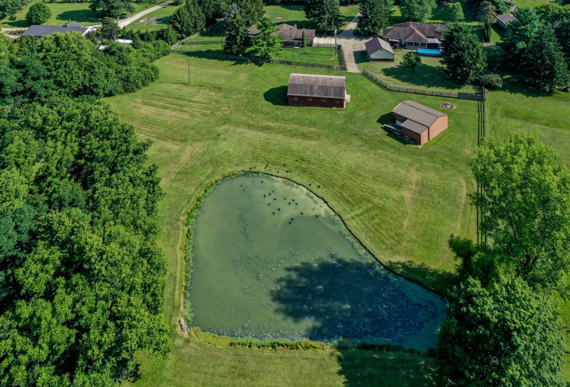 pond