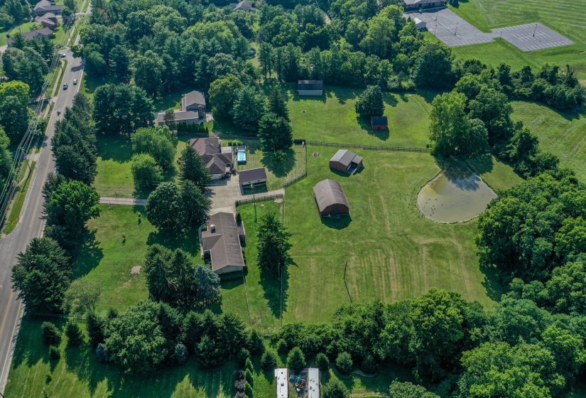 2568 Pennyroyal-47