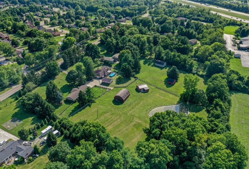 2568 Pennyroyal-48