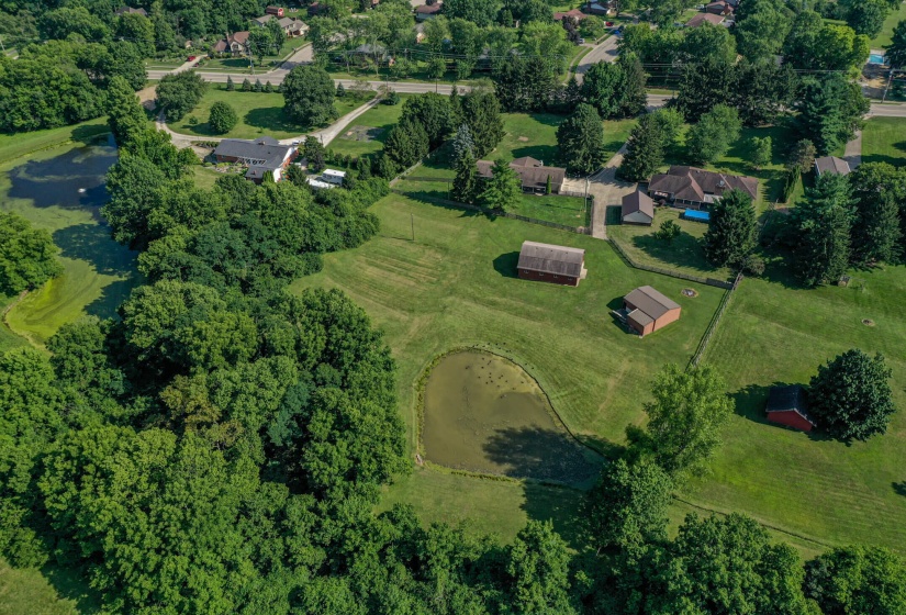 2568 Pennyroyal-50