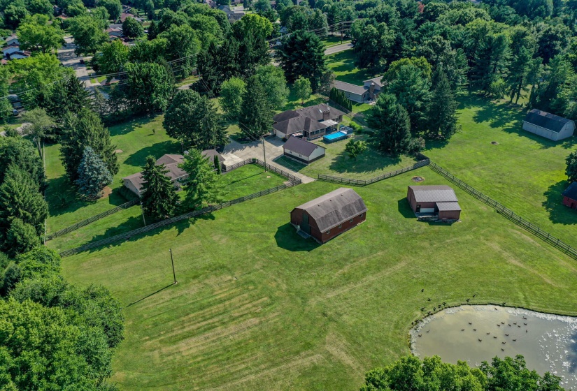 2568 Pennyroyal-53