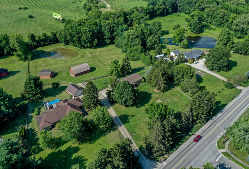 2568 Pennyroyal-59
