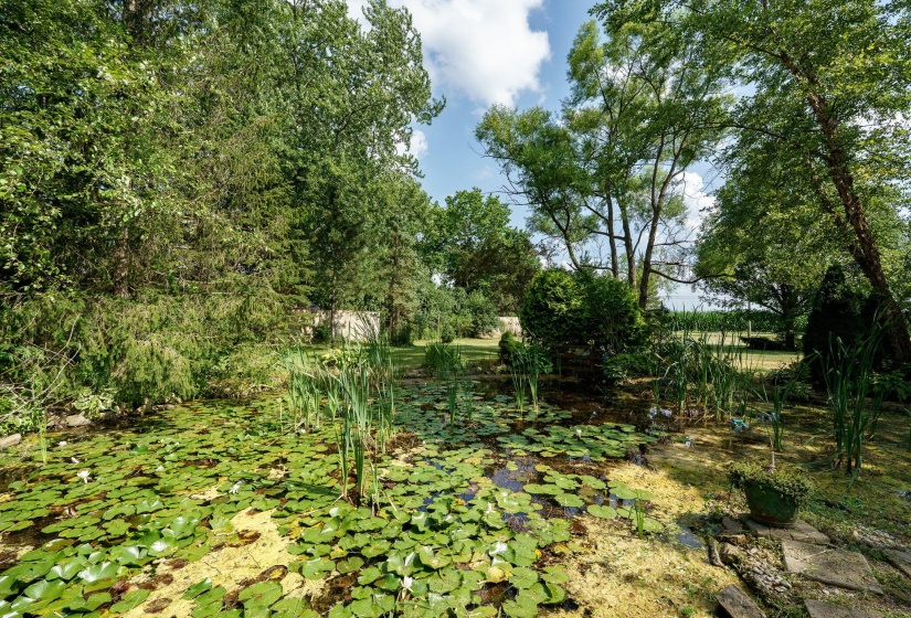 53-web-or-mls-8455-horseshoe-bend-rd