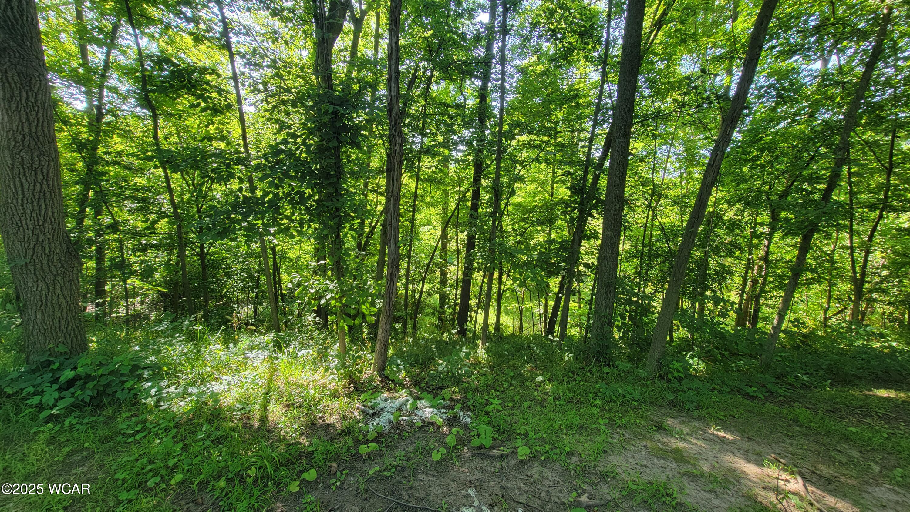 9917 Rd 171, Oakwood, Ohio