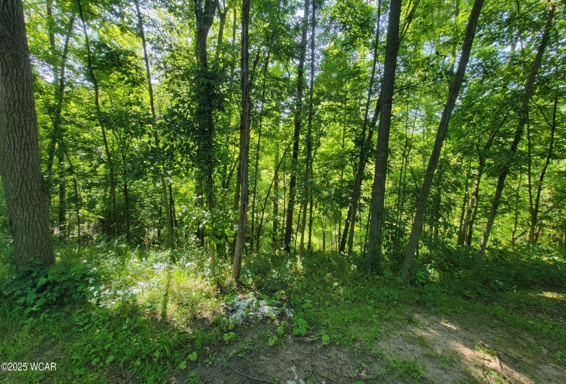 9917 Rd 171, Oakwood, Ohio, ,Commercial Sale,For Sale,Rd 171,307793
