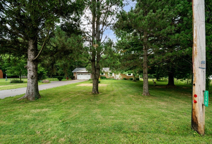 4-web-or-mls-3390-spence-rd