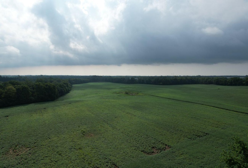 DJI_0868