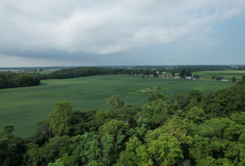 DJI_0871