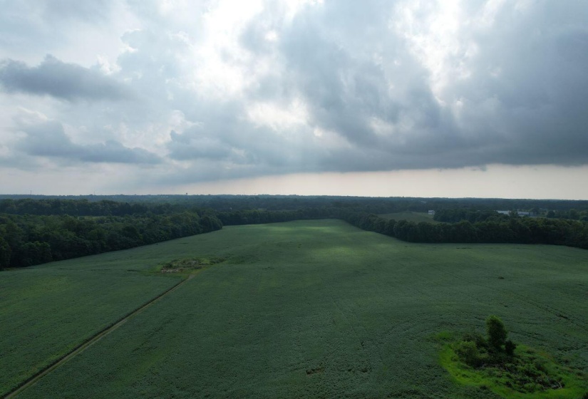 DJI_0865
