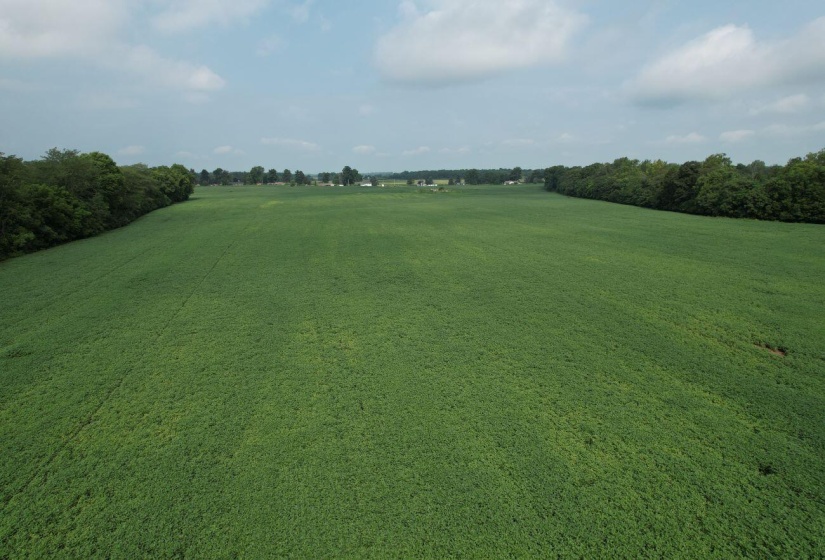 DJI_0878