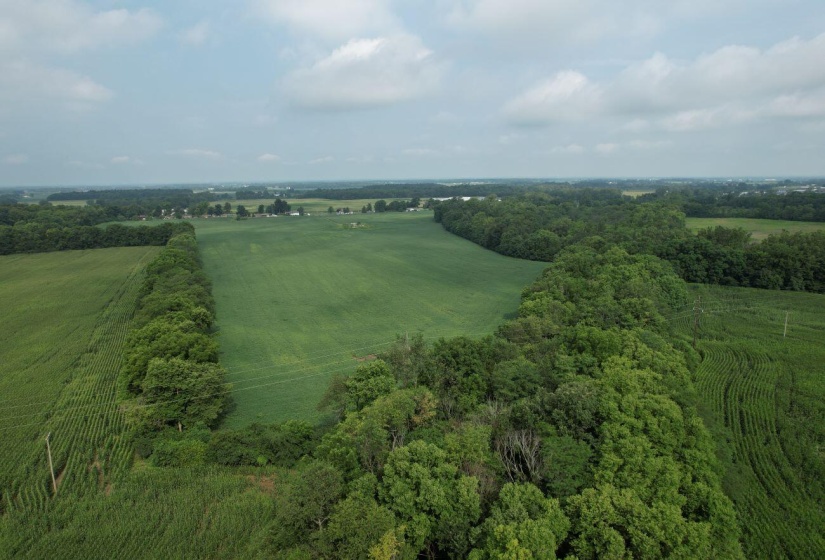 DJI_0876