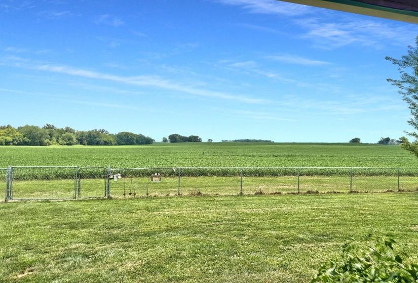 View from the Yard