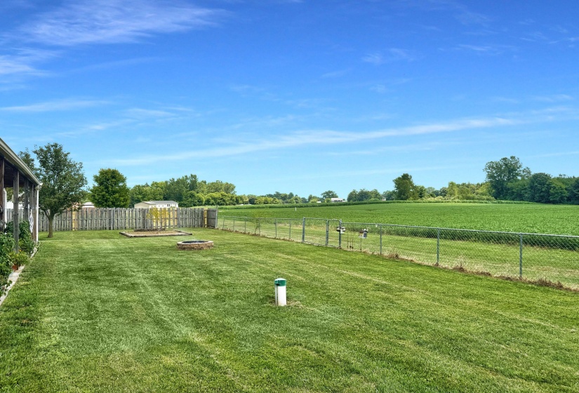 View of the Yard