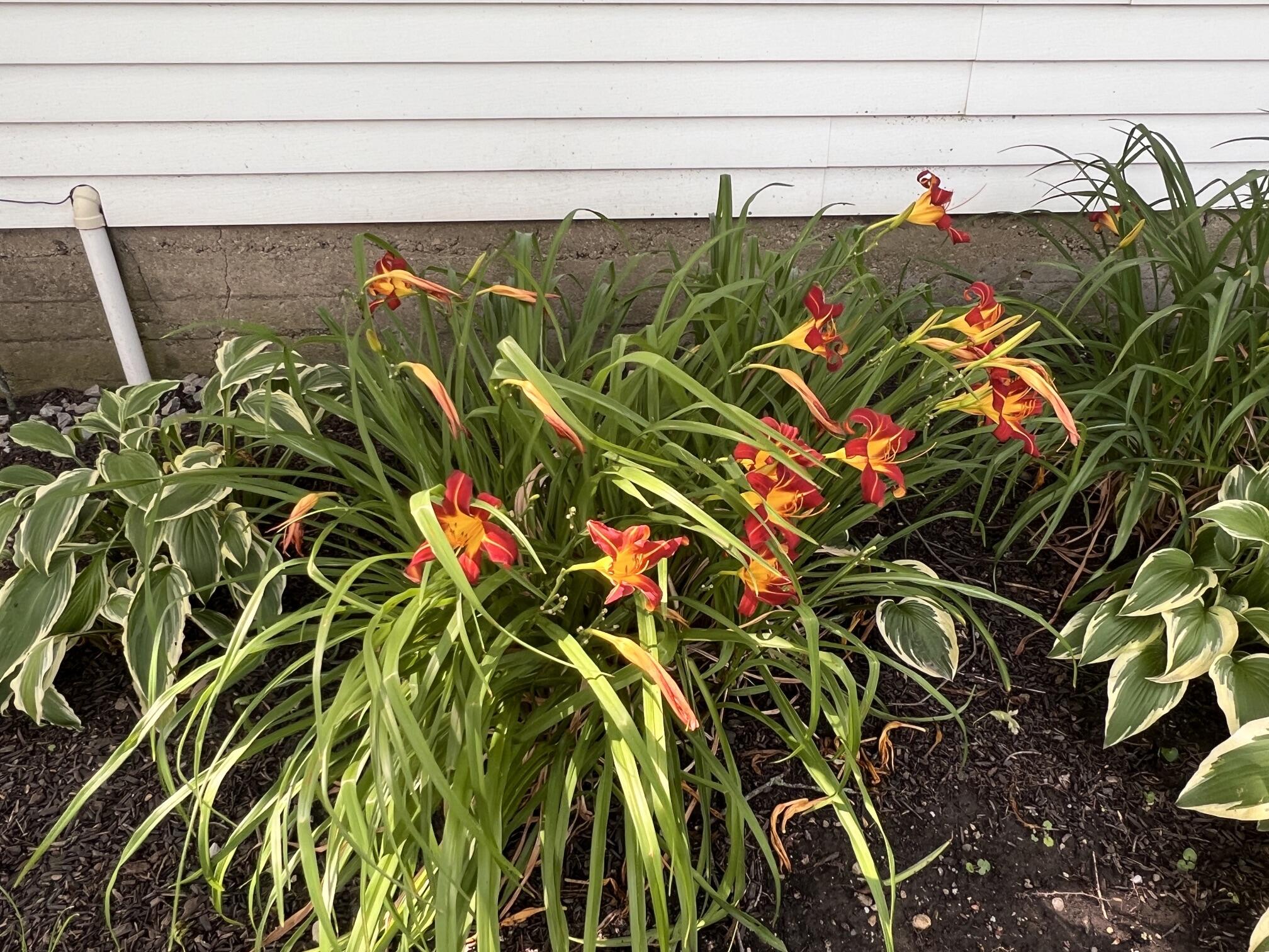7885 Ludlow Road, Cable, Ohio 43009