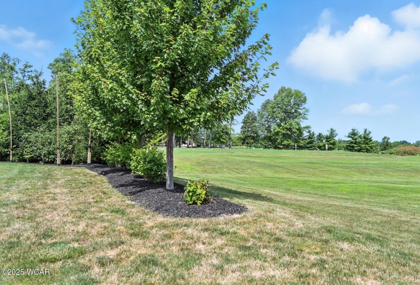 6487 Mickelson Lane, Lima, Ohio, 4 Bedrooms Bedrooms, ,3 BathroomsBathrooms,Residential,For Sale,Mickelson,307799