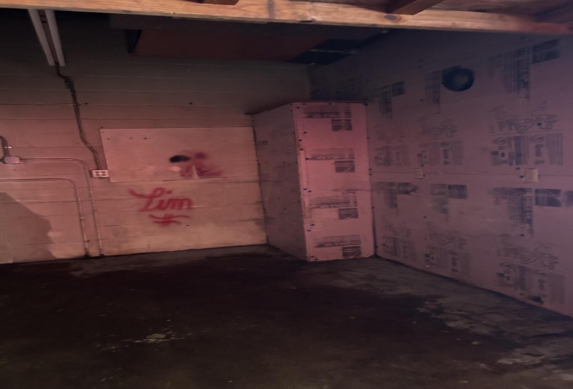 Cannon-Trotwood 501, #22