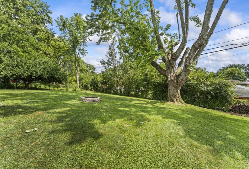 46-web-or-mls-DSC08141