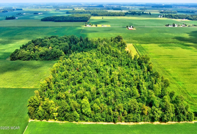0000 149 Township Road, Arlington, Ohio, ,Land,For Sale,149 Township,307823