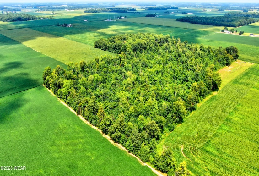 0000 149 Township Road, Arlington, Ohio, ,Land,For Sale,149 Township,307823