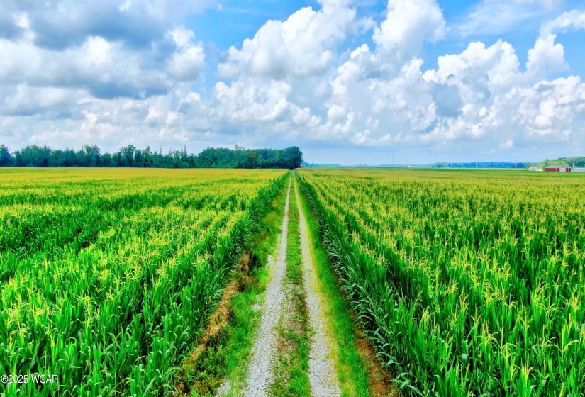 0000 149 Township Road, Arlington, Ohio, ,Land,For Sale,149 Township,307823