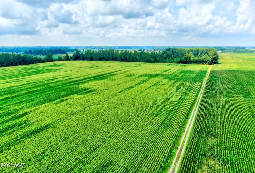 0000 149 Township Road, Arlington, Ohio, ,Land,For Sale,149 Township,307823