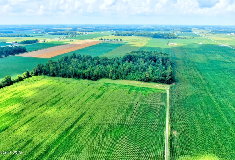 0000 149 Township Road, Arlington, Ohio, ,Land,For Sale,149 Township,307823