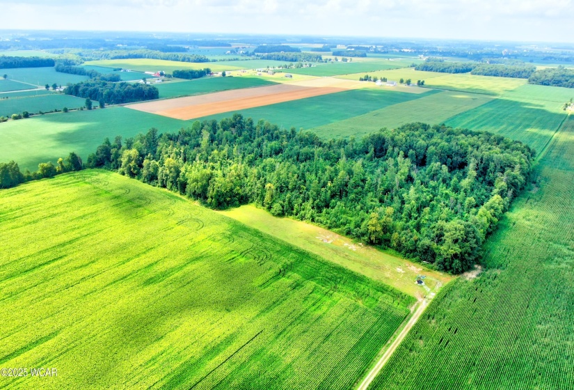 0000 149 Township Road, Arlington, Ohio, ,Land,For Sale,149 Township,307823