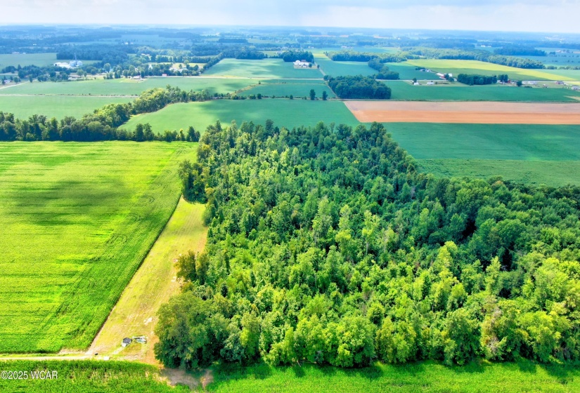 0000 149 Township Road, Arlington, Ohio, ,Land,For Sale,149 Township,307823