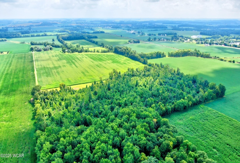 0000 149 Township Road, Arlington, Ohio, ,Land,For Sale,149 Township,307823